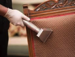 Upholstery Cleaning | Re-New-It Service Systems